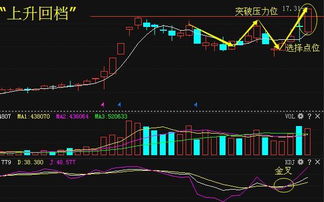 0.1~0.5元一股的股票有那些股票