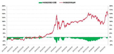 股票资产占基金资产的0%-95%是什么意思