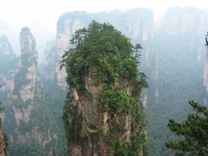 和老公六月神游张家界森林公园 天门山,和狐