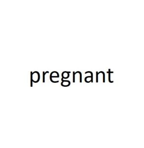 pregnant名词,Wha is Pregacy吗?