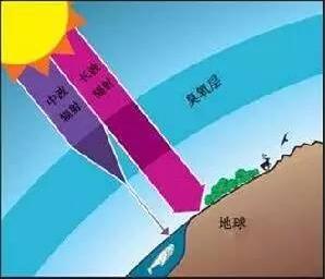 9月16日保护地球和保护脑子同样重要