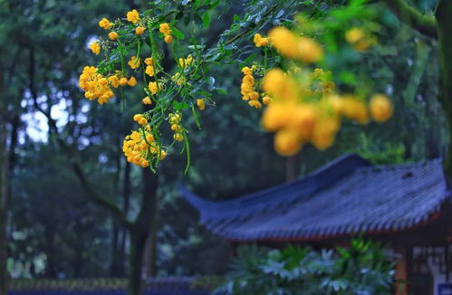 秋雨 励志;秋雨的励志诗词？