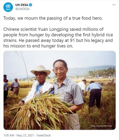 他是真正的粮食英雄 外媒集体刷屏悼念袁隆平
