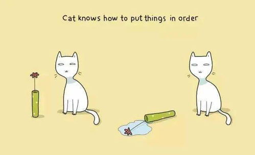 猫咪都懂的道理,你却不懂