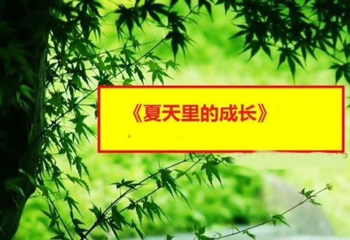 夏天里还有哪些事物也在生长呢？请你至少举出两个例子。