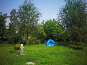 北京国际露营公园,北京国际露营公园：享受大自然与户外生活的好去处