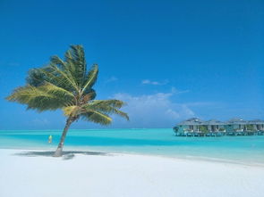 马尔代夫七星岛攻略介绍最美的海岛度假胜地（马尔代夫七星岛屿有几个）