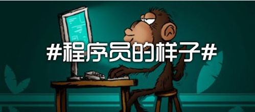 java培训后工资多少,java培训出来工资大概多少