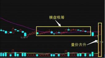 有有谁帮我看看四支股票明天走势如何？雅化集团 商赢环球 智慧农业 中航动力！