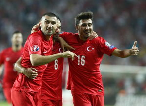 土耳其欧洲杯,欧洲杯半决赛中，土耳其能战胜德国吗？
