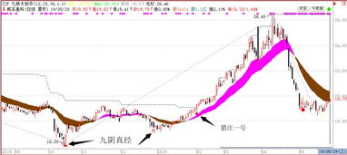 股票追涨，追了就跌；抄底，抄的还不是底，为什么？怎样避免