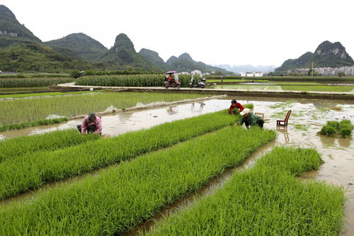 成都谷雨儿童关爱中心简介