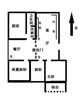 请大师帮我分析一下我家的户型风水,花盆的摆放,同时我想要购置一个水族箱,请问放哪个位置比较好 谢谢 