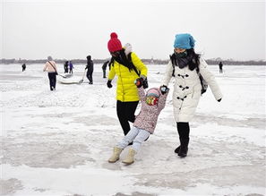 哈尔滨市市民乐玩冰雪 