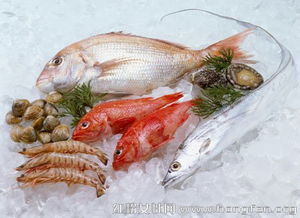 平时吃海鲜必须知道的六大养生禁忌 