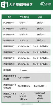 复制的快捷键,复制的快捷键：掌握它，让你的工作效率飞升-第3张图片