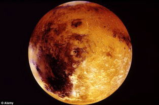 NASA火星照片现 蝎子 专家推测火星有生命 图