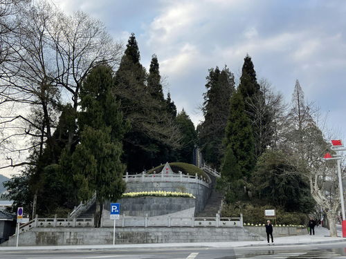 井冈山一日游心得分享 