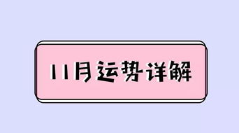 11月运势预测,桃花事业财运全解析