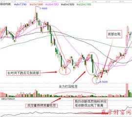 002027什么时候会反弹上来？