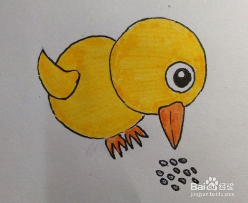 小鸡画法教程 怎么画小鸡,画小鸡的方法步骤 