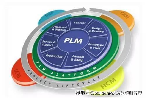 plmm是什么意思 plm是什么意思(图3)