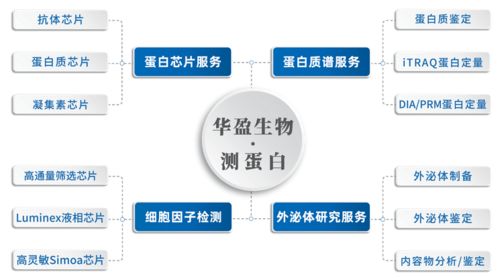 上海华盈生物医药科技有限公司怎么样？