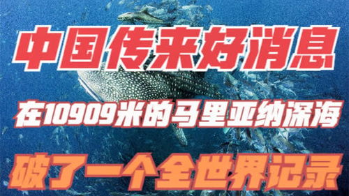 中国传来好消息,在10909米的马里亚纳深海,打破世界纪录 