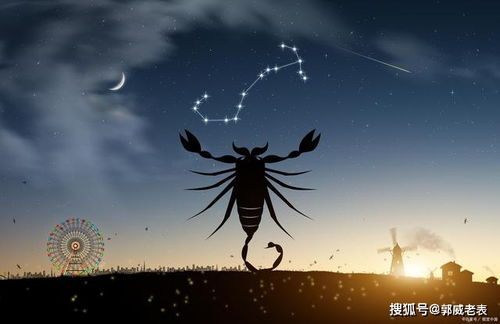 这3个星座,情商高,智商也高,重点是还很努力