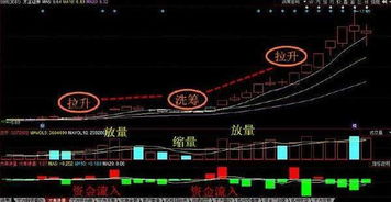 btc一天成交量,股票一天的成交量在哪里看