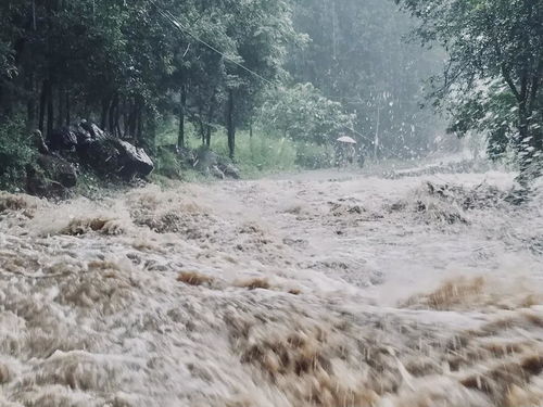 被洪水围困的日子 我才了解什么是最重要的