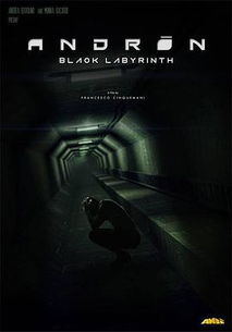 安德烈 黑色的迷宫,安多雷的黑色迷宫:令人着迷的心理惊悚片