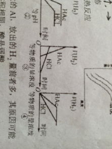 等物质的量浓度的盐酸和醋酸分别加该钠盐固体后PH之后 会怎么变？ 怎么判断？应该看什么