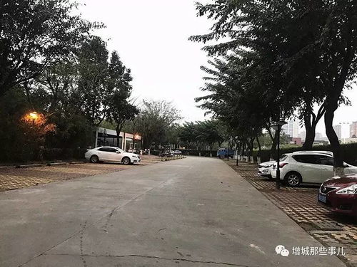 梅州东汇城停车场怎么收费(德州东汇大厦停车场收费标准)