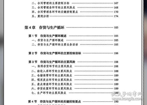 企业内部控制主要风险点 关键控制点与案例解析 2020年版 企业内部控制培训指定用书 立信会计出版社