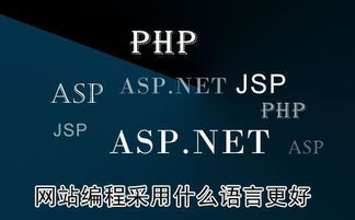 后端开发php对比java,Java和PHP在Web开发方面的比较