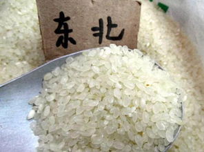 东北大米真的比南方大米要好吃吗 为什么