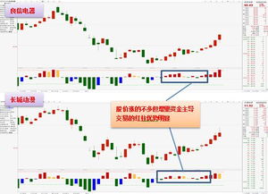 股票中反转是什么意思？还有多头和空头是什么意思？