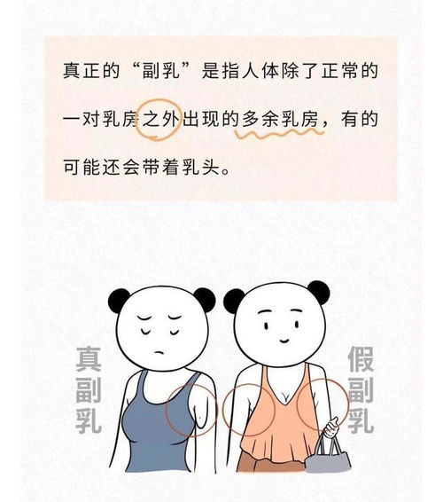 女生一定要懂得冷知识吗(女孩子一定要懂得一个道理)