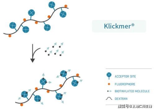 抗原和核酸的区别是什么？