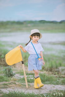 梦鱼 夏日帐