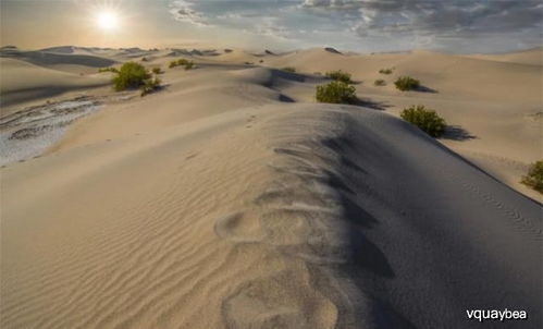 沙漠里的沙子那么多,为什么没人拿来做建材 原来我们都想错了