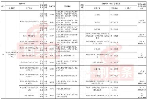 大量事业编制 荆州市启动千人 招硕引博 计划