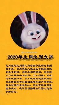 属兔的人2020全年运势及运程 属兔2020年每月运程