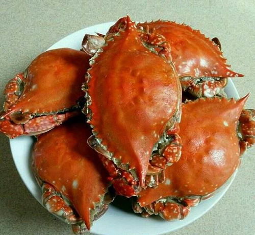蒸螃蟹时,蒸几分钟才算正好 让海鲜大厨告诉你 时间长了易掉腿