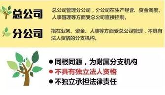 子公司的法人代表必须是母公司吗？可不可以由子公司的其他股东担任呢？