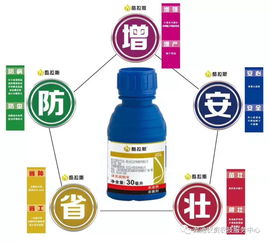 nem菌剂拌种剂