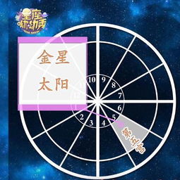 星星学院 手把手教你从星盘看透你的桃花运 