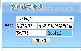 淄博车辆违章查询系统官方入口,淄博车辆违章查询网站-第3张图片