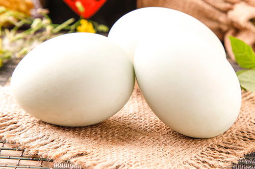鸭蛋的功效与作用，鸭蛋的营养价值和功效